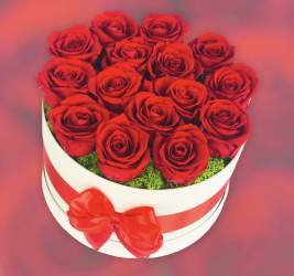 Aranjament floral personalizabil in cutie cadou Eventissimi Trandafiri Naturali Criogenati Licheni naturali stabilizati Rosu Alb 
