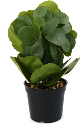 Aranjament In Ghivechi Mini Verde 24cm - Verde Plastic 24cm 