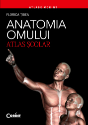 Anatomia omului. Atlas scolar 