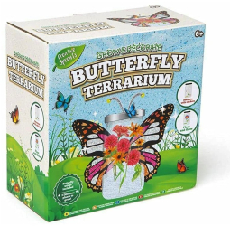 Set terarium fluturi RMS 3 plante atragatoare autocolante personalizare multicolor pentru 6 ani+ R03-0822
