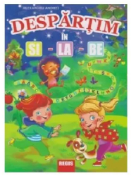 Despartim in si-la-be - Alexandru Andrei 