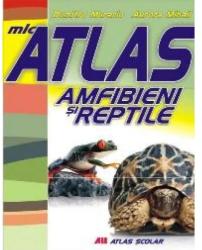 Mic atlas - Amfibieni si reptile - Aurora Mihail Dumitru Murariu 