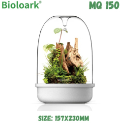 Terrariu sticla MQ-150 