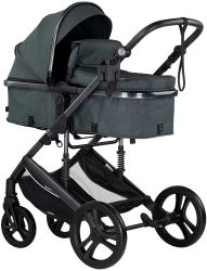 Carucior Chipolino Amore 2 in 1 basil 