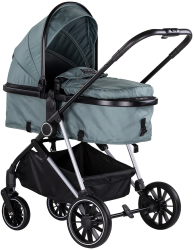 Carucior Chipolino Aura 2 in 1 basil 