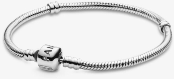 Bratara Classic model Snake Bone din Argint dimensiune 17cm culoare silver 