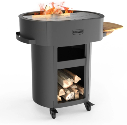 BBQ Plancha Grill Guru