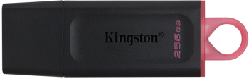 Kingston Pendrive Profesional 256gb Usb 3.2 Dt Exodia 