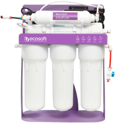 Purificator cu osmoza inversa Ecosoft P URE Alkafuse cu pompa booster si cadru metalic 