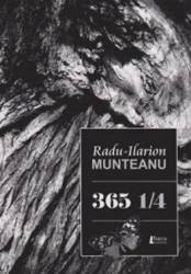 365 14 - Radu-Ilarion Munteanu 
