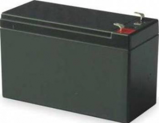 Acumulator plumb acid Well 12V 7.2AH cu borne late 
