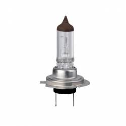 Bec H7 12V 55W PX26D RP+50 Blister Automax 