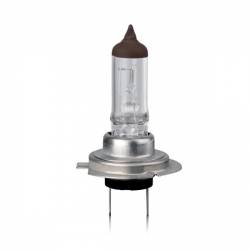 Bec H7 12V 55W PX26d Trifa