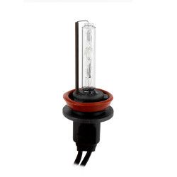 Bec Xenon CARGUARD H11-4 3K 