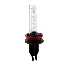 Bec Xenon CARGUARD H11-6K 