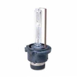 Bec XENON D2S 6000K 35W P32D-2 
