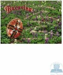 Bucovina Oua Incondeiate 
