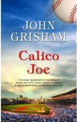 Calico Joe - John Grisham 
