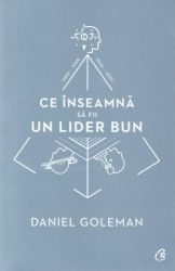 Ce inseamna sa fii un lider bun - Daniel Goleman 