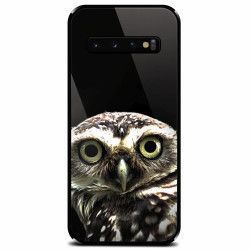 Husa din sticla securizata pentru Samsung Galaxy S10 Plus Owl In The Dark 