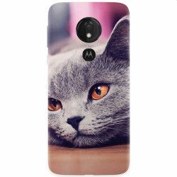 Husa silicon pentru Motorola Moto G7 Power British Shorthair Cat Yellow Eyes Portrait 