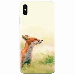 Husa silicon pentru Apple Iphone XS Max Fox Scenting Breeze 
