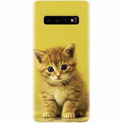 Husa silicon pentru Samsung Galaxy S10 Baby Kitten 