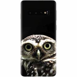 Husa silicon pentru Samsung Galaxy S10 Plus Owl In The Dark 