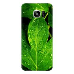 Husa silicon pentru Samsung Galaxy S6 Leaves And Dew 