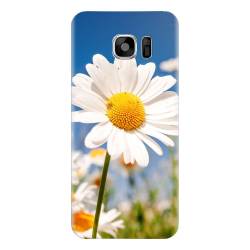 Husa silicon pentru Samsung Galaxy S7 Daisies Field Flowers 