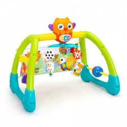 Jucarie 5 in 1 pentru gimnastica Owl 