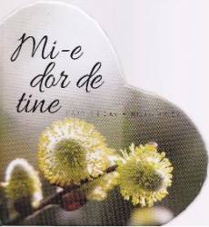 Mi-e dor de tine 