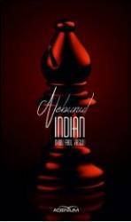 Nebunul indian - Ovidiu Raul Vasiliu