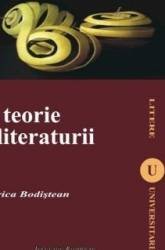 O teorie a literaturii - Florica Bodistean 