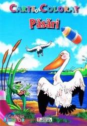 Pasari - Carte de colorat 