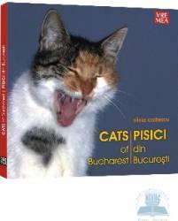 Pisici din bucuresti - Silvia Colfescu 