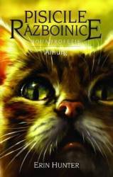 Pisicile Razboinice vol.11 Amurg - Erin Hunter