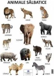 Plansa animale salbatice 