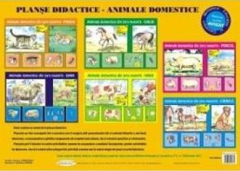 Planse Animale domestice 