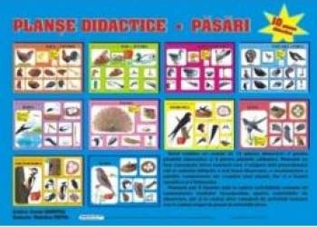 Planse Pasari 
