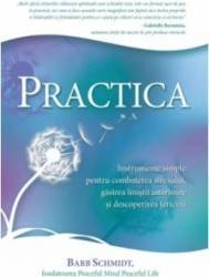Practica - Barb Schmidt 