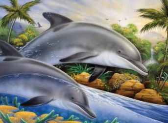 Prima pictura pe numere - Insula delfinilor 