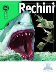 Rechini - Insiders 