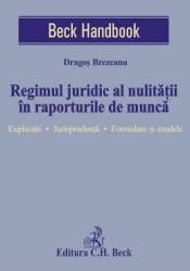 Regimul juridic al nulitatii in raporturile de munca - Dragos Brezeanu