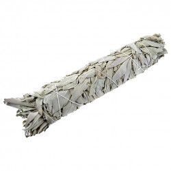 Salvie Alba bagheta mare - Californian White Sage wand 20cm e-palosanto 