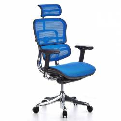 Scaun Ergohuman v2 Plus Elite mesh 3D Albastru cu tetiera 2D suport lombar brate reglabile 4D QMOBILI 