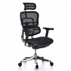 Scaun Ergohuman v2 Plus Elite mesh 3D Negru cu tetiera 2D suport lombar brate reglabile 4D QMOBILI 