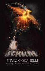 Scrum - Silviu Ciocanelli 