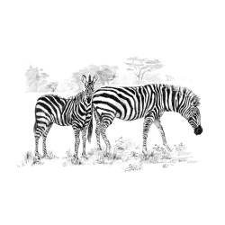 Set pentru realizarea unui desen in creion - Zebre 
