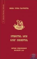 Staretul meu Iosif Isihastul - Efrem Filotheitul 